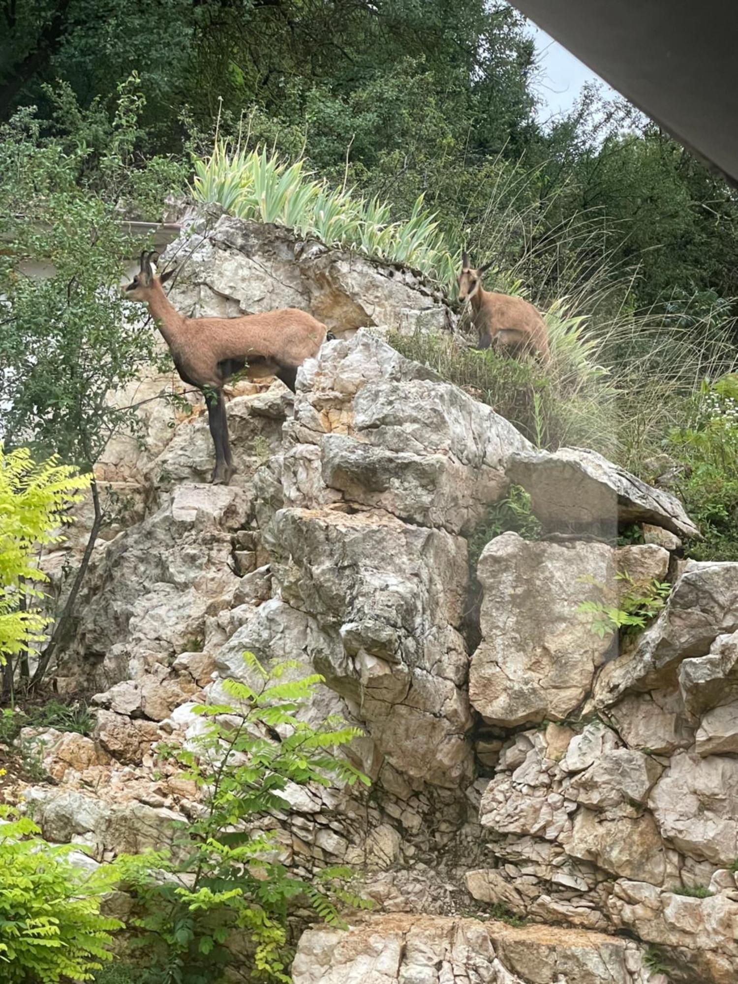 Maison Au Bord De L'Eau Les Roches Rochefort-sur-Nenon Exterior foto
